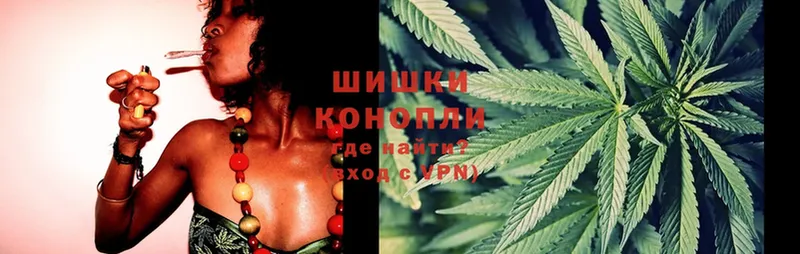 магазин продажи наркотиков  Гулькевичи  Канабис White Widow 